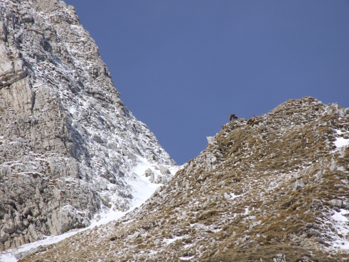 da Piano di Campitelli a Passo dei Monaci